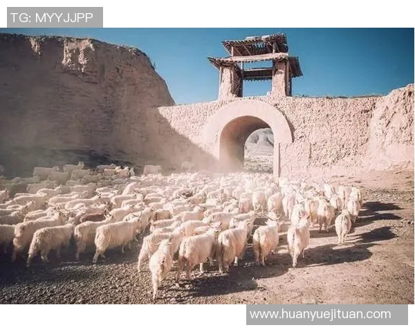 德岛漩涡与湖南马的奇妙对决探秘两地文化与风俗的碰撞与交融 德岛漩涡与湖南马的奇妙对决探秘两地文化与风俗的碰撞与交融