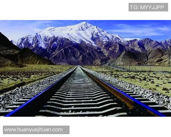 上海排球队的辉煌历程与突破瞬间全景纪实